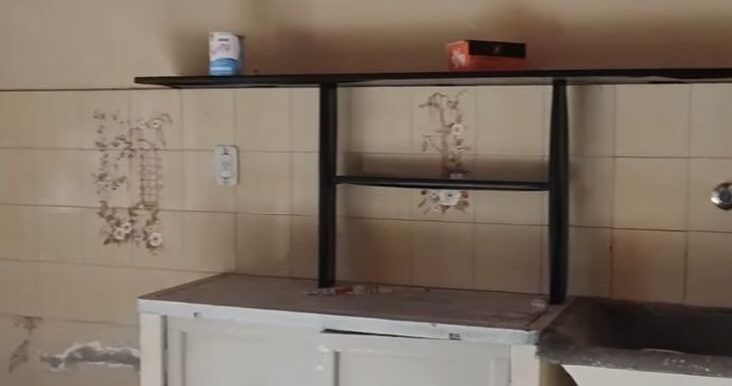 51344754-40a1-488b-a86d-e06396500131