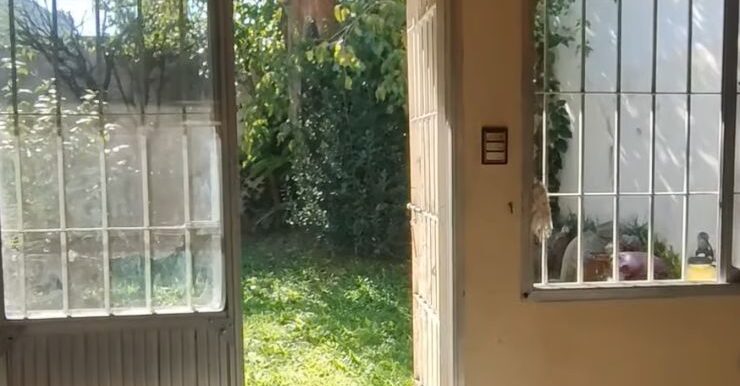 a3a65639-a12c-4639-8dc1-31ed5d29ef32